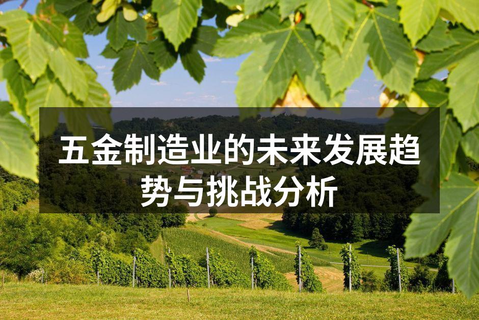 五金制造业的未来发展趋势与挑战分析